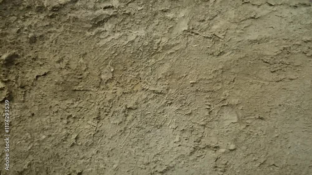 background natural grunge grunge grimy background texture textured stained worn dirty abstract brown autumn grunge grimy background texture textured stained worn dirty abstract brown background natural grunge grunge grimy background texture textured stained worn dirty abstract brown autumn grunge grimy background texture textured stained worn dirty abstract brown
