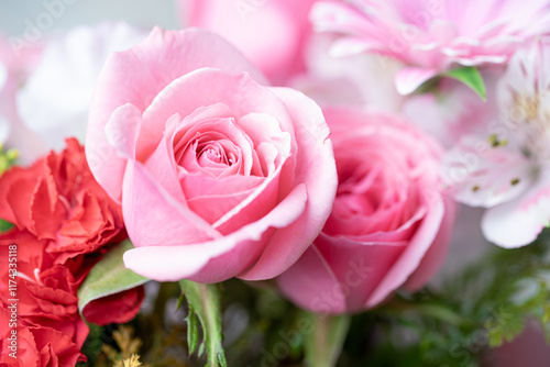 薔薇の花の接写