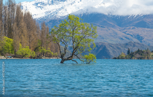 Beautiful view of lake Wanaka with an iconic lone tree in the lake. Lake Wanaka is the fouth largest lake of New Zealand.