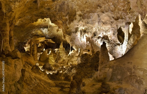 Cave formation of stalactites and stalagmites in the Big Room of Carlsbad Caverns National Park, New Mexico