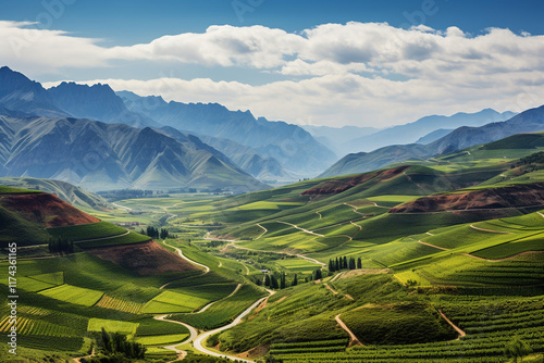 majestic valleys of California, where harmonious interplay of agriculture, winemaking, and breathtaking allure of land converge, stand as a testament to profound cultural and environmental significanc photo