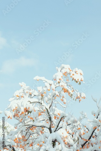 Wallpaper Mural travel Torontodigital.ca