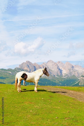 Wallpaper Mural travel Torontodigital.ca