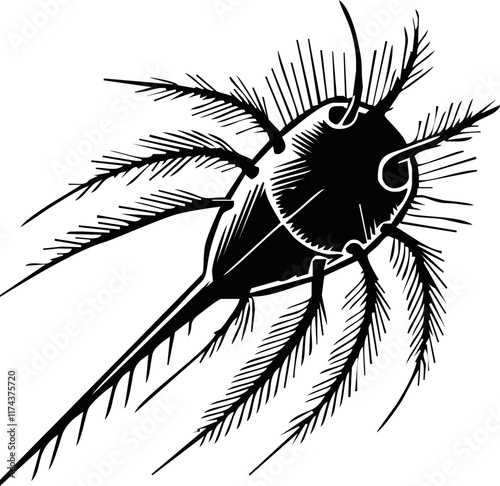 Zooplankton black silhouette, flat vector illustration isolated on white background. Collection of microscopic plankton, inhabitants of underwater life - ocean, sea and freshwater