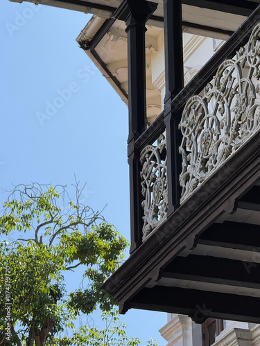 Architectural Edge with Vintage Building Backdrop