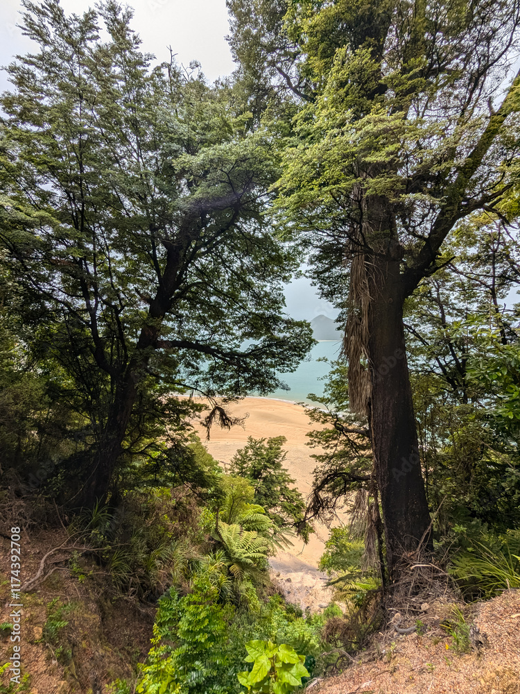 Fototapeta premium The rugged coast and beaches of the Abel Tasman Park in New Zealand