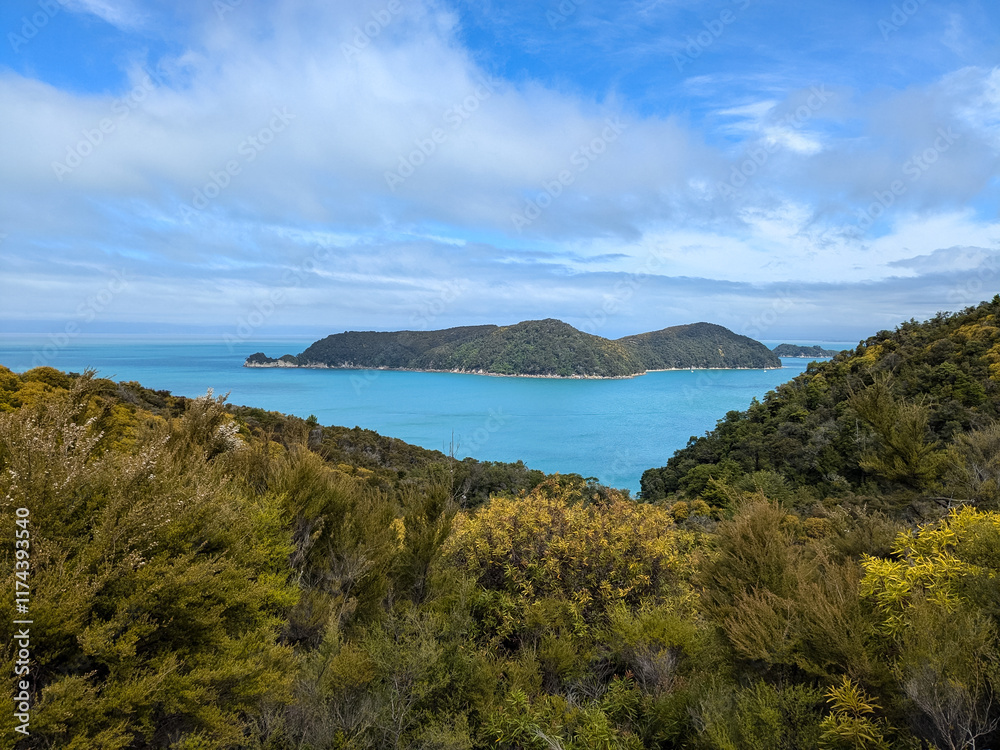 Obraz premium The rugged coast and beaches of the Abel Tasman Park in New Zealand