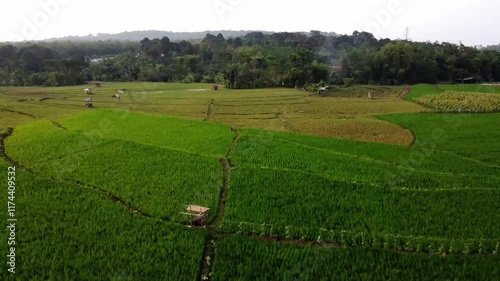 aerial panorama of agrarian rice fields landscape in the village of Central Java, like a terraced rice fields ubud Bali ASIA Indonesia	