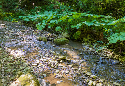 spring hike to the sources of a mountain river along the riverbed and canyon through impassable wilderness areas photo