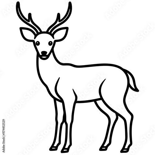 deer silhouette isolated on white