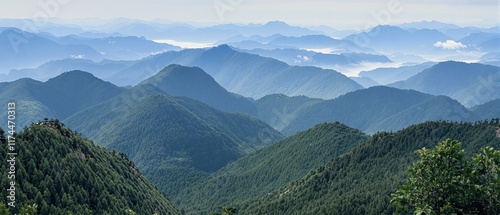 Aerial drone flight over peaks and ridges mountain hills covered by green forest,