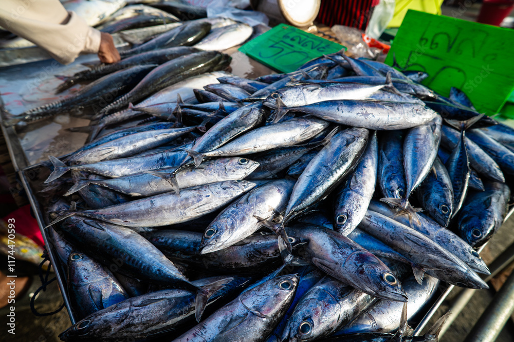 Obraz premium Tuna seafood fish sell in local fishery market