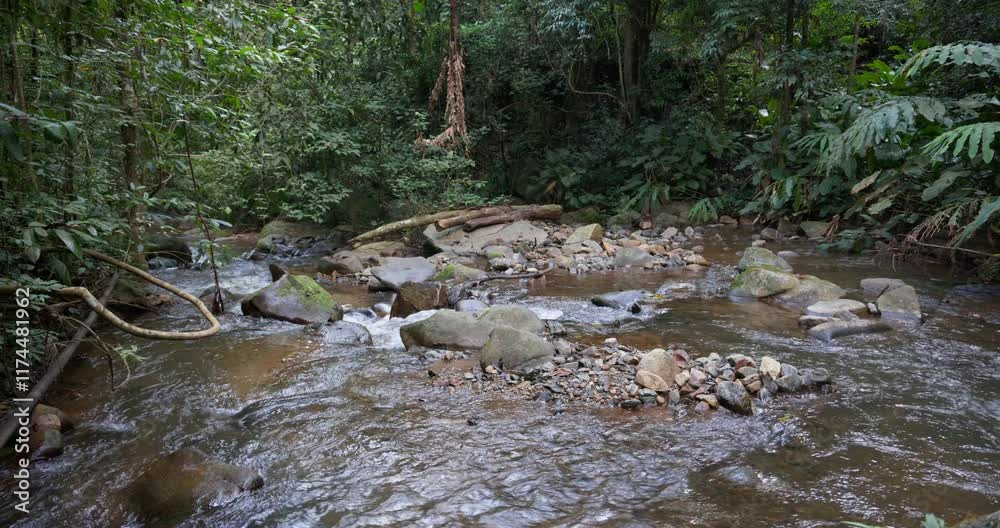 Wild stream in the jungle of Thailand near Khun Korn Waterfall Wild stream in the jungle of Thailand near Khun Korn Waterfall