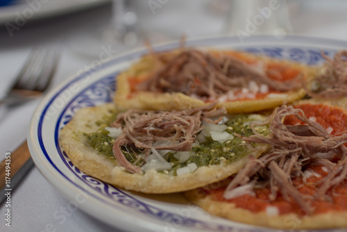Close-up of a single green chalupa poblana with jalapeño salsa, served on a Talavera plate. A classic Mexican street food favorite.