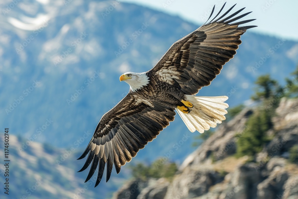 Fototapeta premium Eagle soaring over mountain landscape under bright sky
