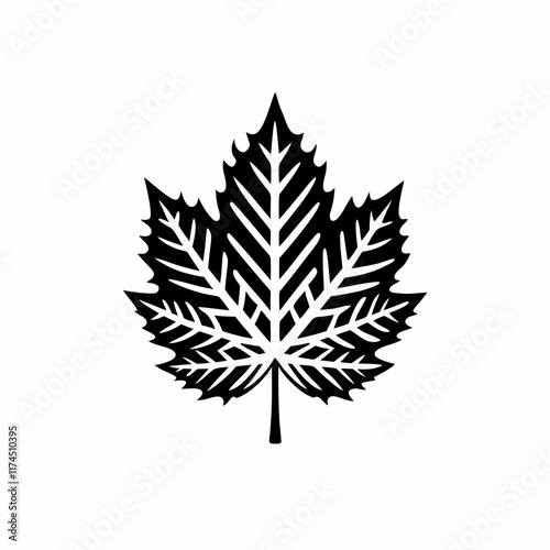 Silhouette Design of a Sycamore Leaf with Bold Outline and Detailed Lobes in a Natural Botanical Style