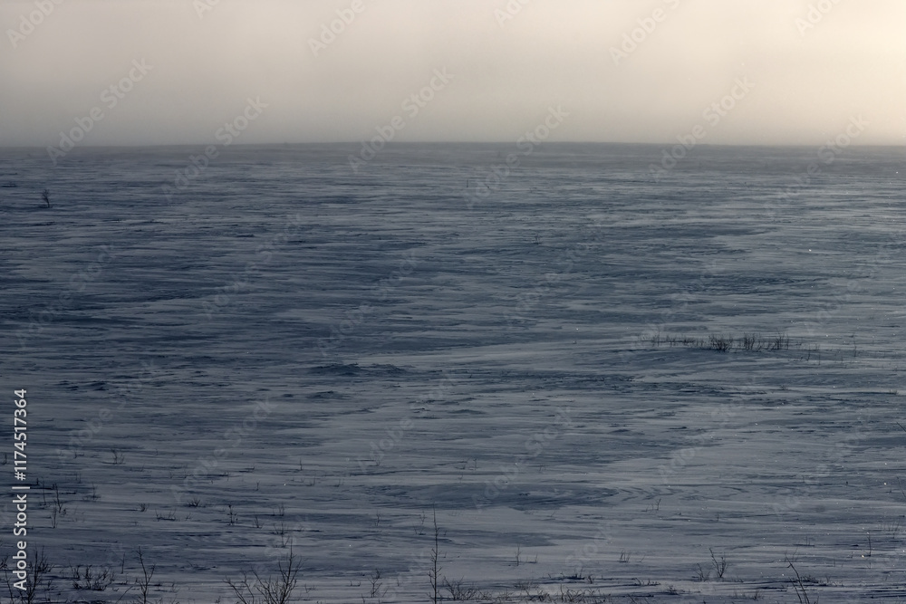 Obraz premium Republic of Komi tundra landscape. Coal, gas, oil and Gulag prison camps are located on this land