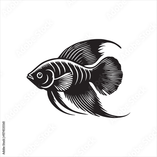 fish isolated on white