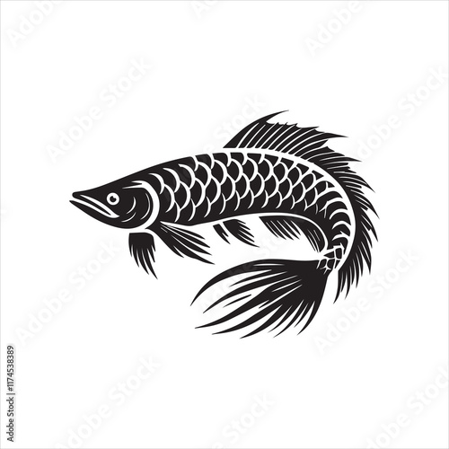 black and white fish