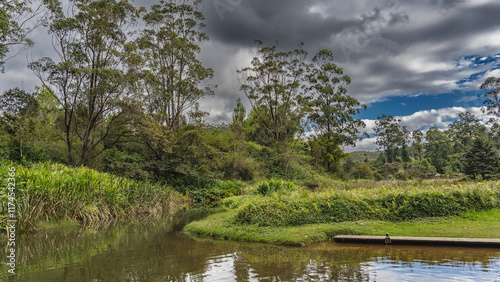 A calm river in a tropical rain forest. The riverbed bends. There is a boat dock near the shore. Thickets of lush green vegetation- tall grass, bushes, trees. Cloudy. Madagascar. Vakona Forest Reserve