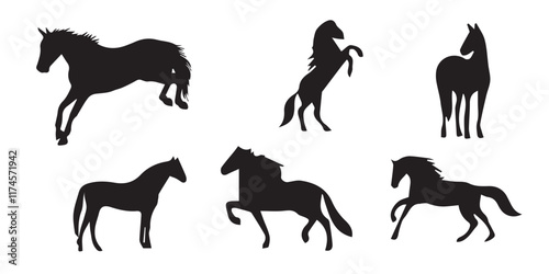silhouette horse