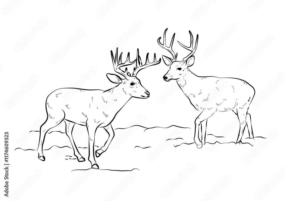 Obraz premium Deer Outline drawing wild animals, black and white outline vector cartoon illustration