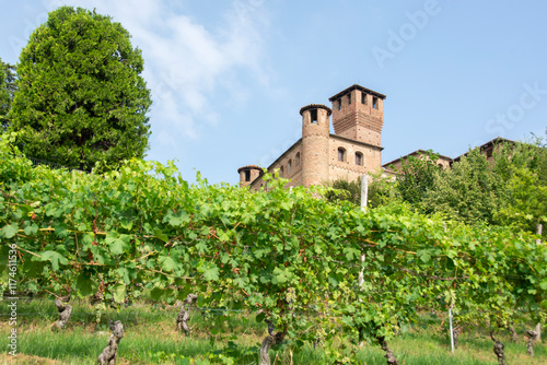 Paesaggi di Langhe, Piemonte, Grinzane Cavour