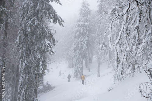 Wallpaper Mural winter wonderland with snowy fir trees in the mountains Torontodigital.ca