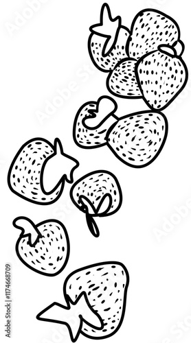 fresh strawberry fruit coloring book photo