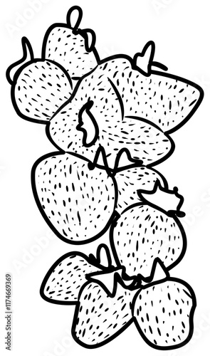 fresh strawberry fruit coloring book