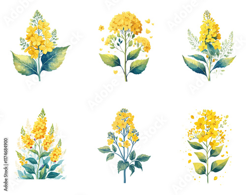 水彩で描いた菜の花のイラストセット