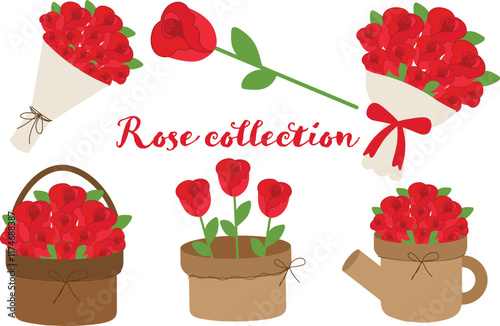 Rose Collection Valentine's Day