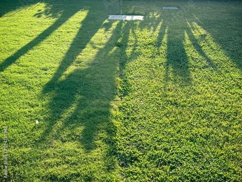 Shadows on Lawn
