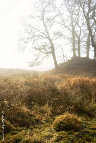 Wallpaper Mural Stunning dramatic atmospheric sunrise landscape image of foggy morning at Elter Water around River Brathay in Lake District Torontodigital.ca