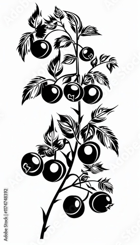 Black and white stylized silhouette of a fruiting cherry tomato plant. Ideal for farm-to-table logos or kitchen decor.
