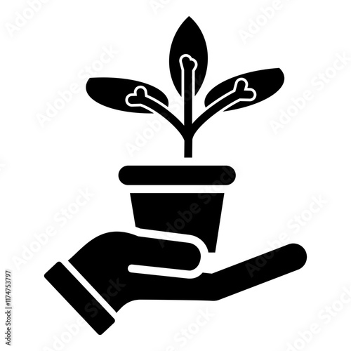  reforestation 