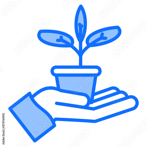 reforestation