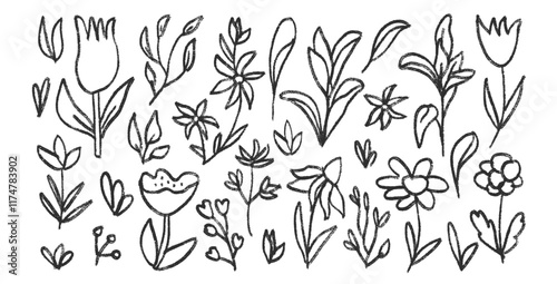 Hand drawn line stroke flowers and leaves set. Charcoal line poppy, tulip, daisy doodle monochrome. Floral outline brush chamomile and marguerite kids chalk shape. Vector black pencil illustration.