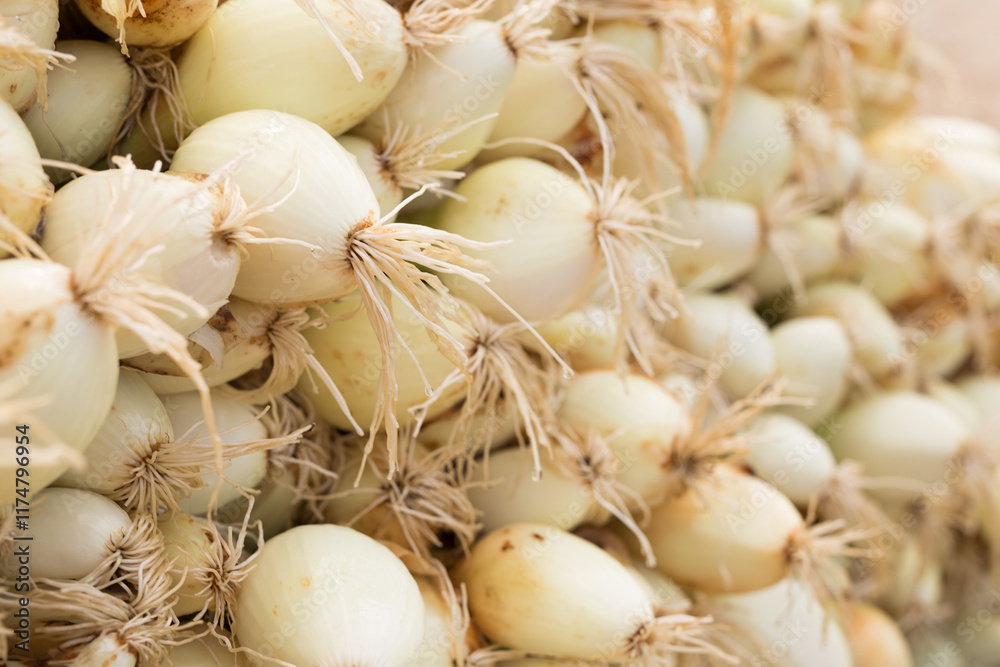 Washed farm heads of onions Washed farm heads of onions