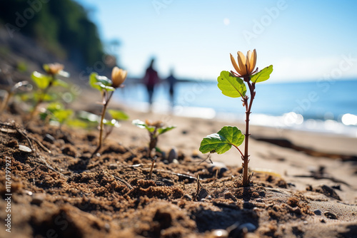 intrinsic worth and harmonious equilibrium found within sand dune beach ecosystems, which encompass embodiment of coastal flora, sanctuaries for fauna, and indispensable function of these landscapes i photo