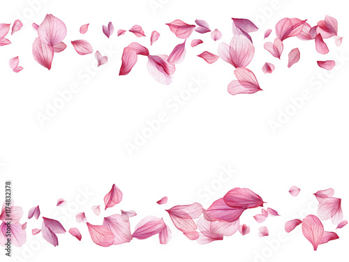 pink rose border