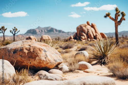 This highlights extraordinary natural features of Joshua Tree National Park including its distinctive rock formations Joshua trees and serene atmosphere that characterizes this desert scenery photo