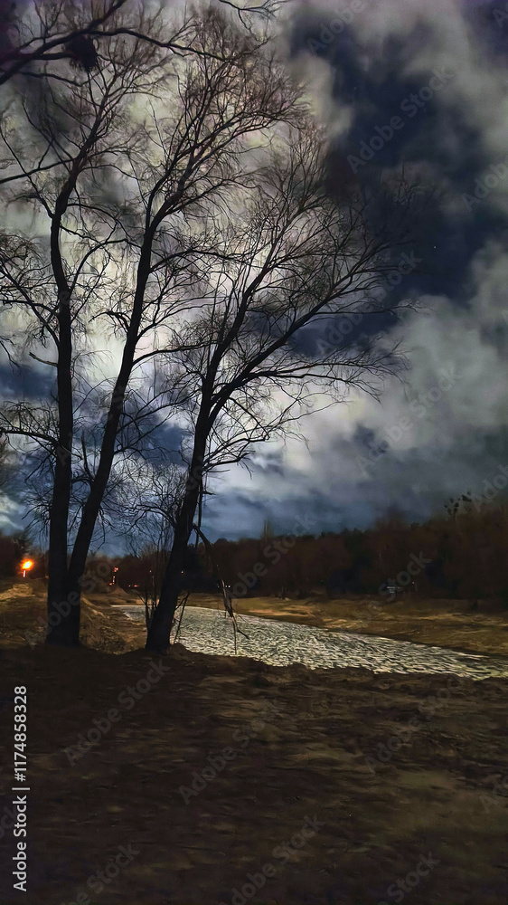Misty Night Trees in the Forest, Dark Sky and Frozen Lake. Vertical Urban Landscape Photo Misty Night Trees in the Forest, Dark Sky and Frozen Lake. Vertical Urban Landscape Photo