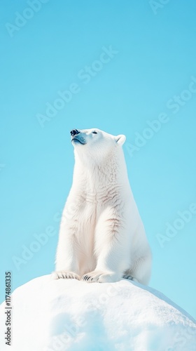 A majestic polar bear sits proudly atop an isolated block of ice against a clear blue sky, capturing the essence of the Arctic wilderness. photo