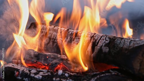 Campfire in the winter fore...