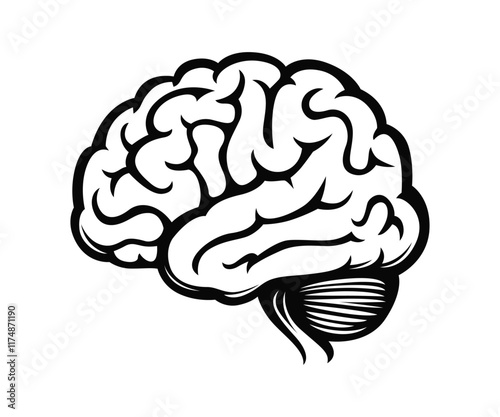 Human Brain Vector