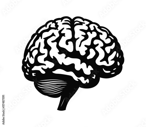 Human Brain Vector