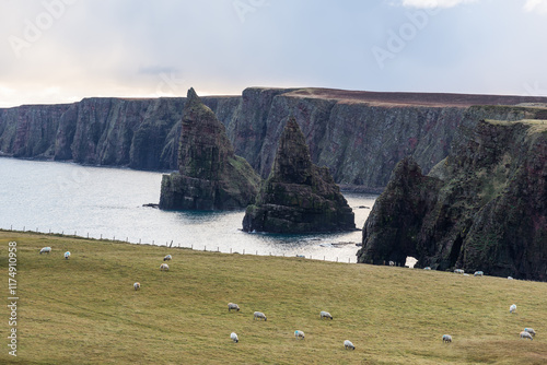 Stacks of Duncansby, observatory and bird farm, Sea stacks near Duncansby Head, John o 'Groats, Caithness, Scotland, United Kingdom