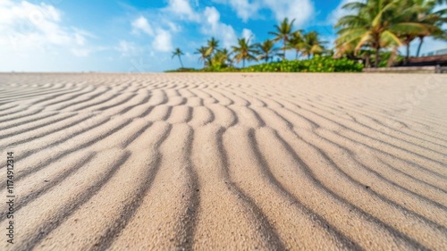 Warm beige beach sand with natural patterns, a clear blue sky, and palm trees in the background