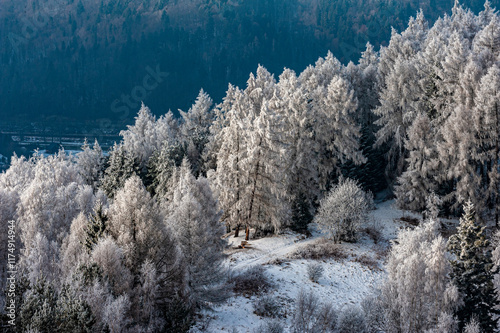 Szron, polskie góry, Beskid Sądecki, Małopolska, Muszyna.
